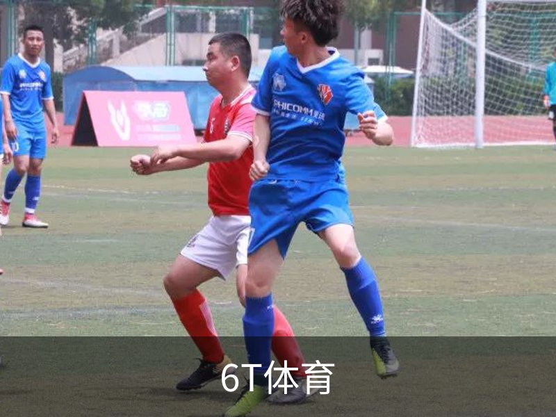 6T体育介绍